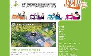 Webdesign und SEO - DER HÄUPTLING - GALLERY