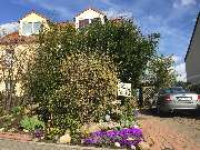 Webdesign & Werbung | Brandenburg & Berlin - Correct Conception GmbH - GALLERY