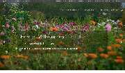 webnatur - GALLERY