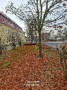 WEGA Garten & Landschaft - GALLERY