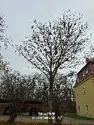 WEGA Garten & Landschaft - GALLERY