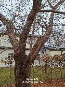 WEGA Garten & Landschaft - GALLERY