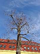 WEGA Garten & Landschaft - GALLERY