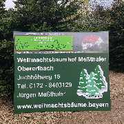 Weihnachtsbäume Meßthaler