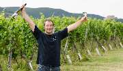 Weingut Bruno Schreieck Inh. Benedikt Schreieck - GALLERY