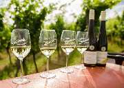 Weingut Bruno Schreieck Inh. Benedikt Schreieck - GALLERY