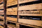 Weingut Bruno Schreieck Inh. Benedikt Schreieck - GALLERY