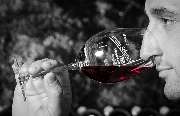 Weingut Bruno Schreieck Inh. Benedikt Schreieck - GALLERY