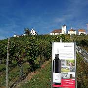 Weingut Friedrich Baumgärtner - GALLERY