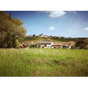 Weingut Friedrich Baumgärtner - GALLERY