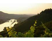 Weingut Geiger Gebr. jun. - GALLERY