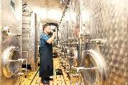 Weingut Höfling - GALLERY