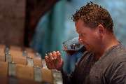 Weingut Höfling - GALLERY