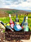 Weingut Lange - Schloss Saaleck - GALLERY