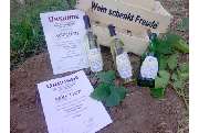 Weingut Scherer - GALLERY