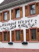 Weingut Weyer - Mörstadt - GALLERY