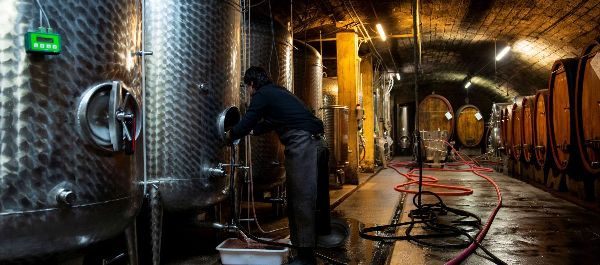 Weingut Wolf - GALLERY
