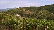 Weinhandel Eder - GALLERY