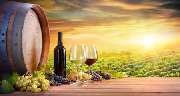 Weinhandel Monasteria e.K. - GALLERY