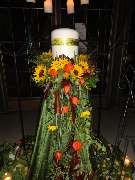 Weinheimer Blumenhaus - GALLERY