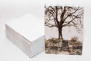 Weiss Druck und Verlag - GALLERY
