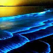 Wellhöfer Pelino - GALLERY