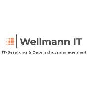 Wellmann IT - 1