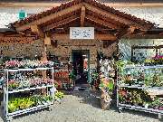 Welzhofer Mühlenladen - GALLERY