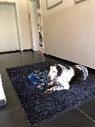 Werbe-Werkstatt Beate Stanek - Fußmatten