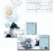 Werbeagentur concept your design - 18