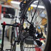 Werkstatt 7 - GALLERY