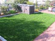 Werner Anderlik Garten- und Landschaftsbau GmbH - Dachbegrünung mit Pflasterarbeiten_Werner Anderlik Garten- und Landschaftsbau GmbH