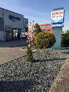 Werner Bollwinkel GmbH - GALLERY