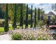 Werner Gartengestaltung e.K. Inh. Markus Werner - GALLERY