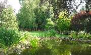 Werner Pöpping Gartengestaltung - GALLERY