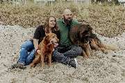 Westphals Insel Crew - das Team