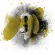 Wette und Schnell - GALLERY
