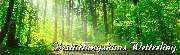 Wetterling Bestattungshaus GbR - GALLERY