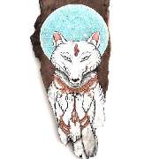 White Fox Gallery - GALLERY