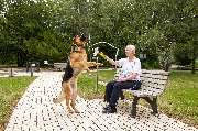 Wichernkrankenhaus - Tiergestützte Therapie im Wichernkrankenhaus