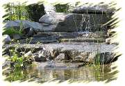 Wick Landschaft GmbH - 2