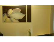 Wicklein Tobias Dr. - GALLERY