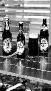 Wieninger Bräu - 16