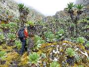 WIGWAM Naturreisen und Expeditionen GmbH - GALLERY