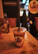 WILD CHICKEN - GALLERY