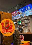 WILD CHICKEN - GALLERY