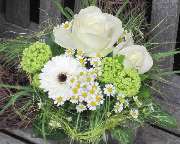 Wildkraut NATÜRLICH BLUMIG - GALLERY