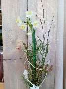 Wildkraut NATÜRLICH BLUMIG - GALLERY