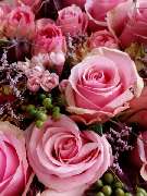 Wildkraut NATÜRLICH BLUMIG - GALLERY