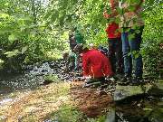 Wildnisschule Falkenauge - GALLERY